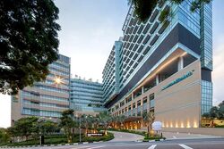 Mount Elizabeth Novena Hospital (D12), Retail #528904421